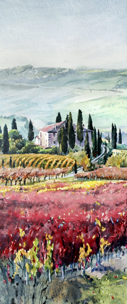 "Tuscan Fields"