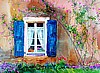 "Shutters and Lace"