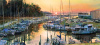 "Sunset at Fly Creek"