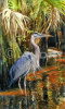  "Great Blue Heron I"