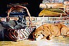"Kitty and Lady"